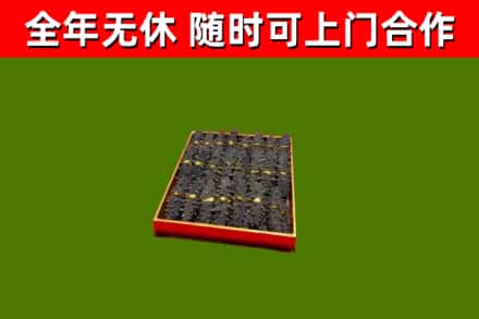 娄星回收海参